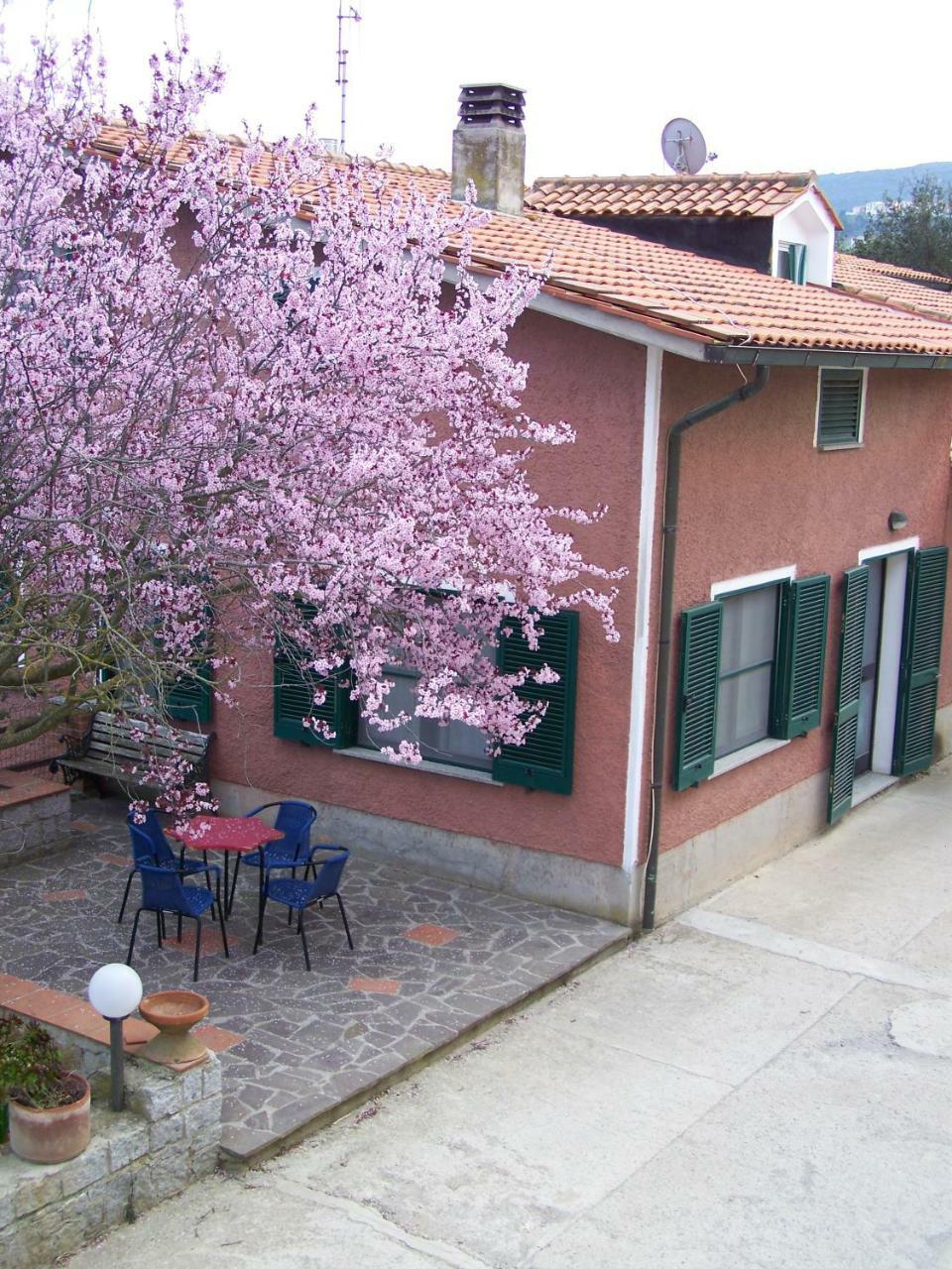 Appartamenti Gli Alberi كابوليفيري المظهر الخارجي الصورة