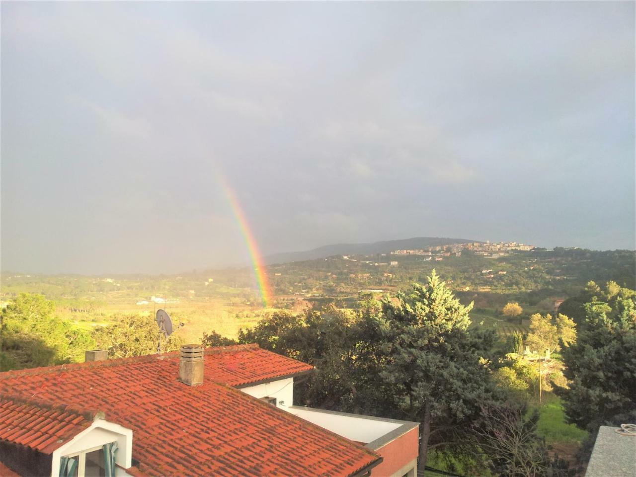 Appartamenti Gli Alberi كابوليفيري المظهر الخارجي الصورة